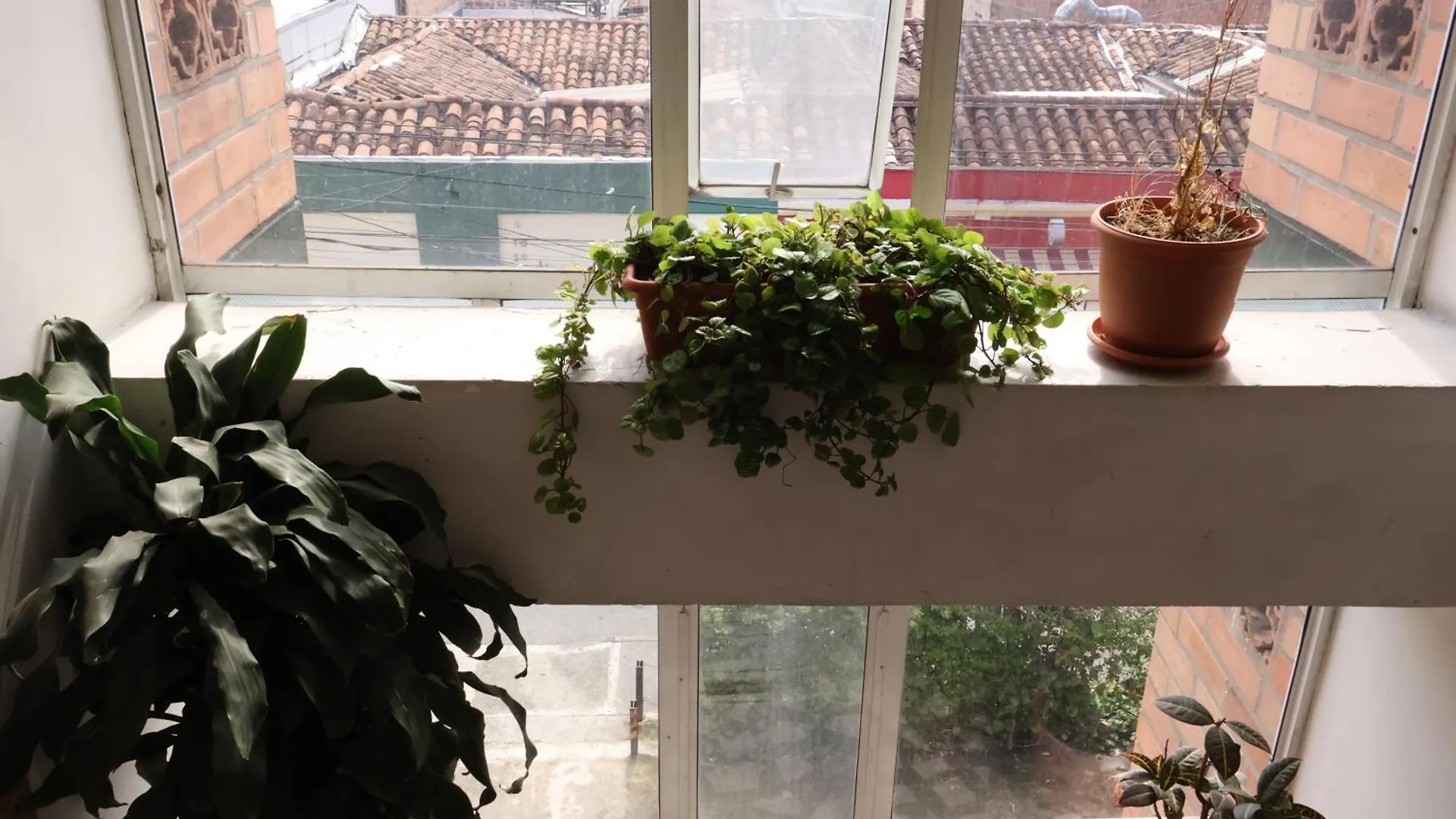 Homestay Living Poblado Manila 3029 Habitacion Doble Con Bano Privado Medellin